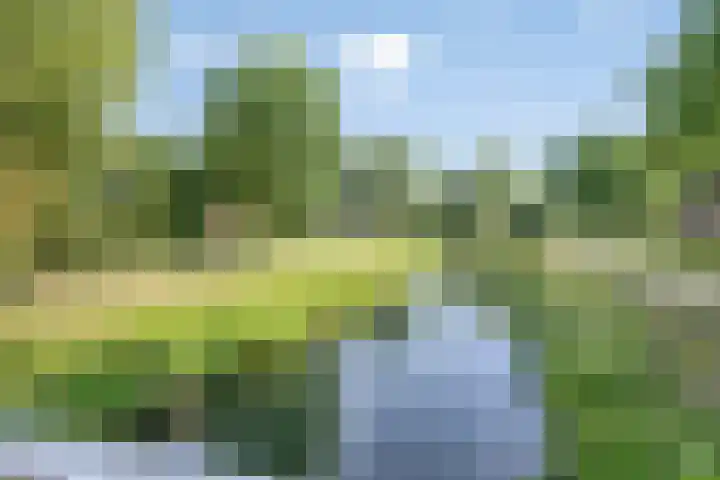Grevenmate 9 Zwolle thumbnail 4