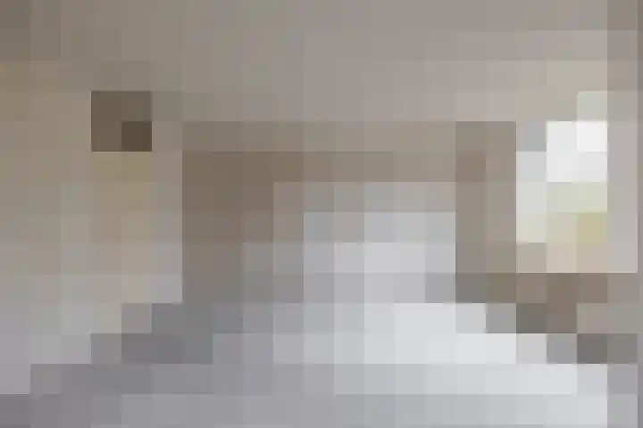 Grevingaheerd 155 Groningen thumbnail 12