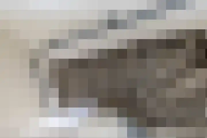 Grevingaheerd 155 Groningen thumbnail 19