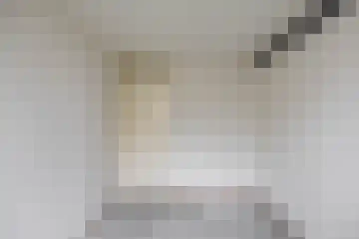 Grevingaheerd 155 Groningen thumbnail 23