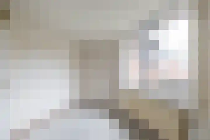 Grevingaheerd 155 Groningen thumbnail 28