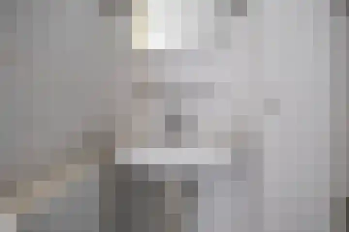 Grevingaheerd 155 Groningen thumbnail 31