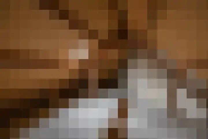 Grevingaheerd 155 Groningen thumbnail 34
