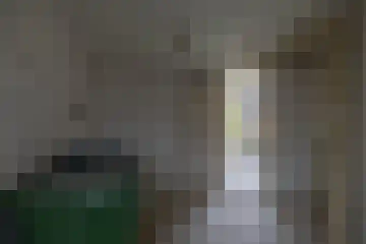 Grevingaheerd 155 Groningen thumbnail 37