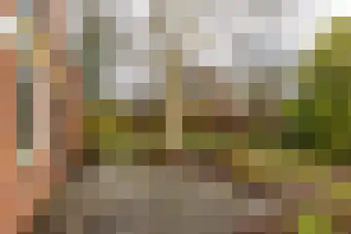 Grevingaheerd 155 Groningen thumbnail 40