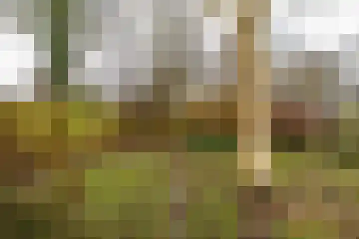 Grevingaheerd 155 Groningen thumbnail 41