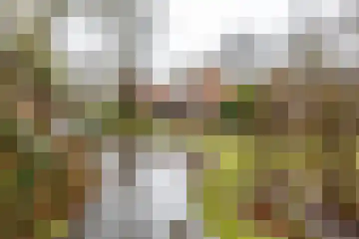 Grevingaheerd 155 Groningen thumbnail 45