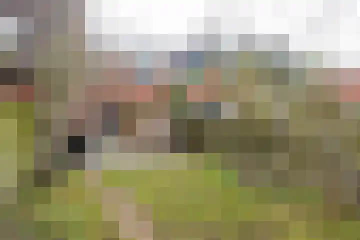 Grevingaheerd 209 Groningen thumbnail 25