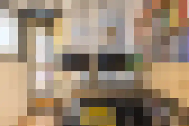Grevingaheerd 209 Groningen thumbnail 27