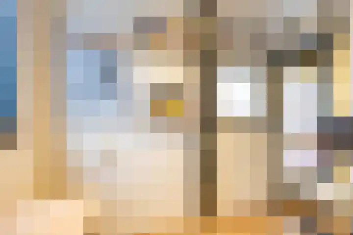 Grevingaheerd 209 Groningen thumbnail 30