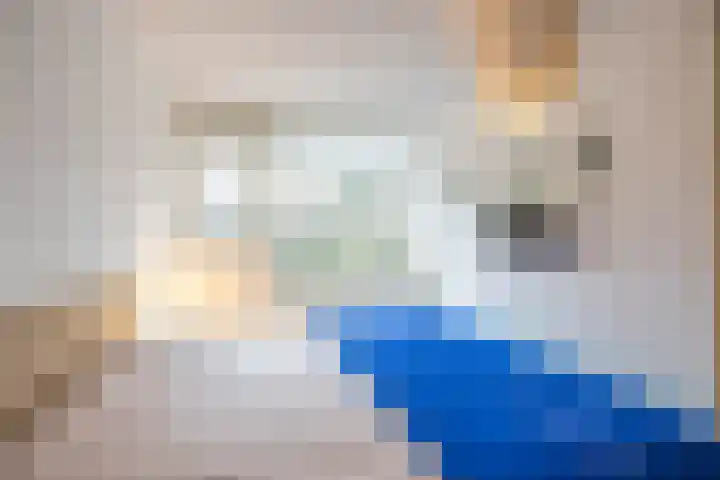 Grevingaheerd 209 Groningen thumbnail 34