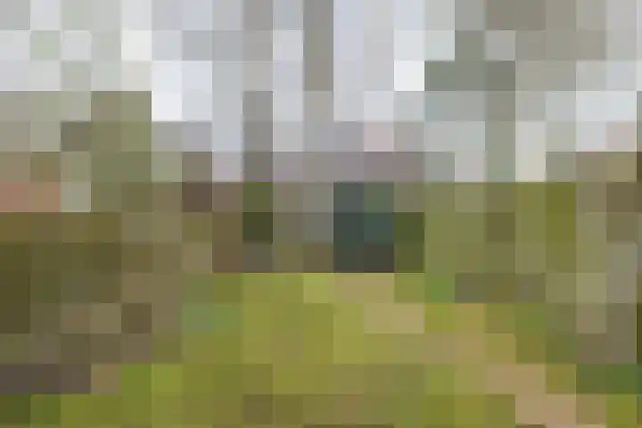 Grevingaheerd 209 Groningen thumbnail 4