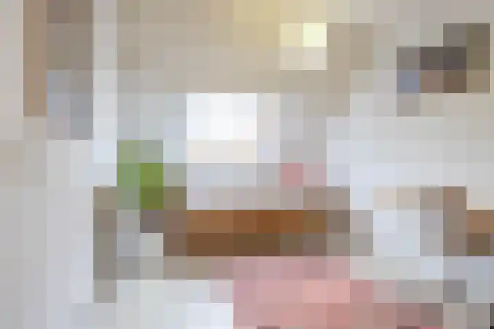 Grevingaheerd 209 Groningen thumbnail 40