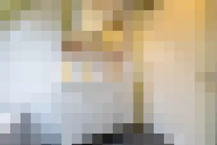 Grevingaheerd 209 Groningen thumbnail 44