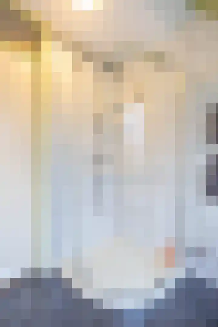 Grevingaheerd 209 Groningen thumbnail 45