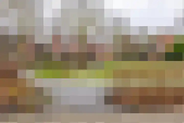 Grevingaheerd 209 Groningen thumbnail 48