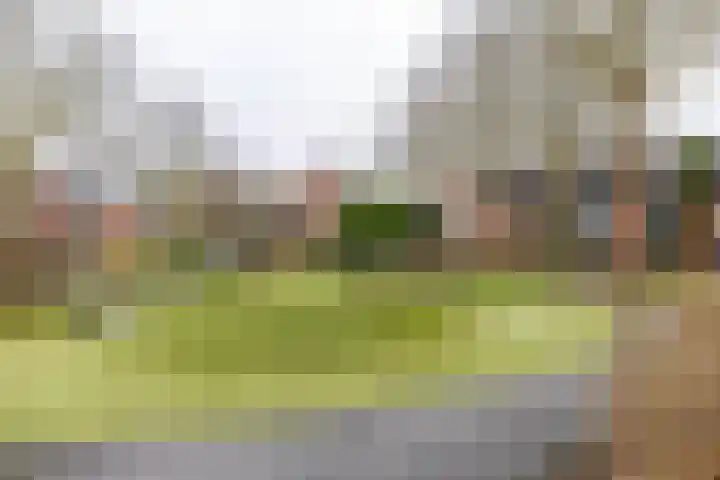 Grevingaheerd 209 Groningen thumbnail 49