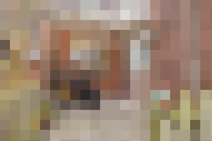 Grevingaheerd 209 Groningen thumbnail 6