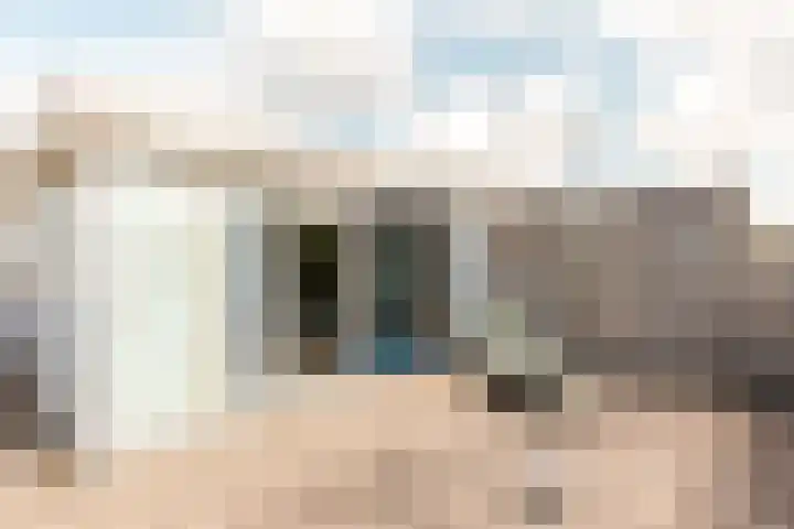 Griend 11 11 21 Lelystad thumbnail 37
