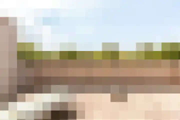 Griend 11 11 21 Lelystad thumbnail 38