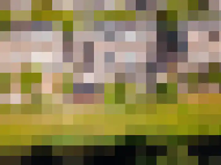 Griend 11 11 21 Lelystad thumbnail 51