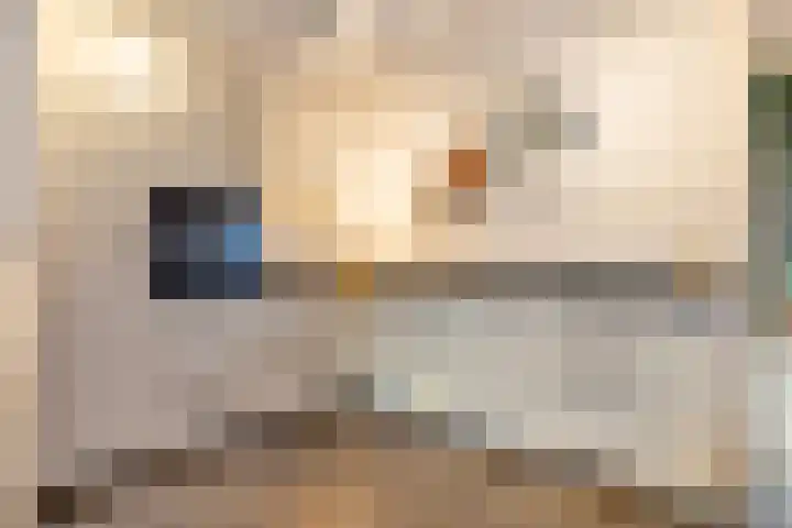 Griend 17 Elst thumbnail 27