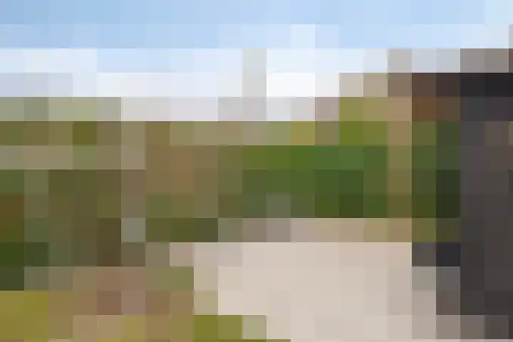 Griend 17 Elst thumbnail 42
