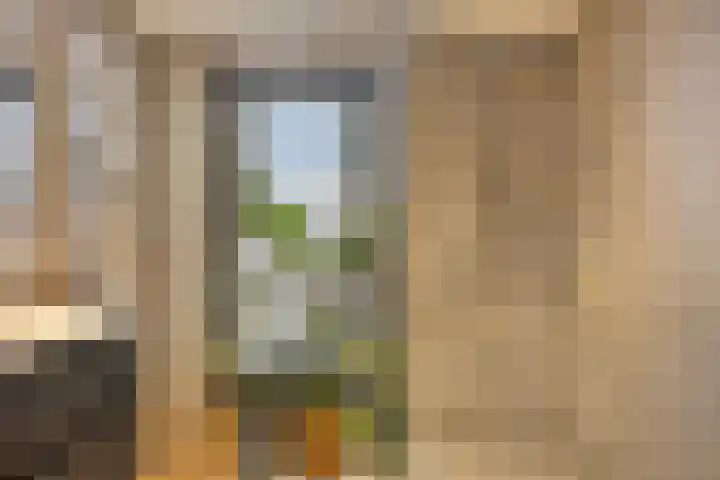 Griend 17 Elst thumbnail 52