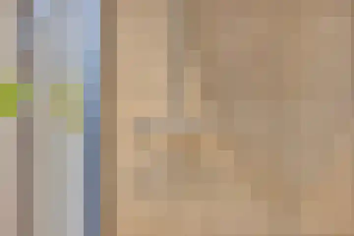 Griend 17 Elst thumbnail 53