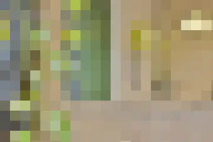Griend 17 Elst thumbnail 59