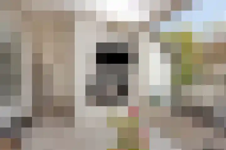 Griend 19 Elst thumbnail 30