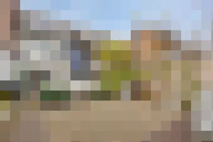 Griend 19 Elst thumbnail 32