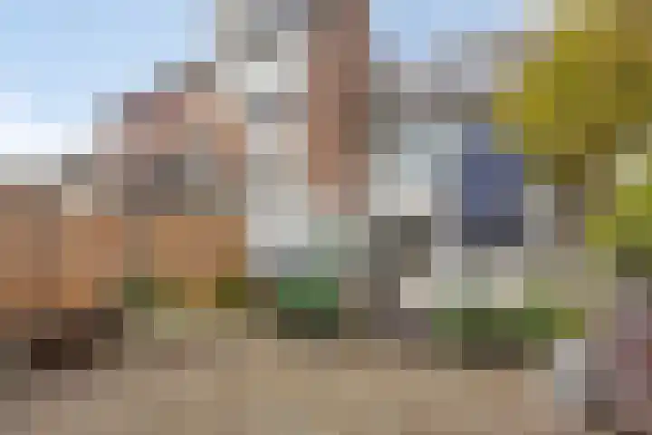 Griend 19 Elst thumbnail 33