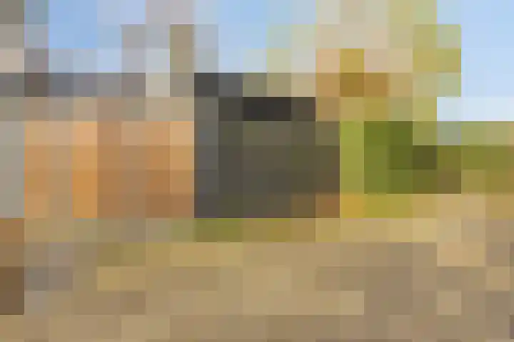Griend 19 Elst thumbnail 37