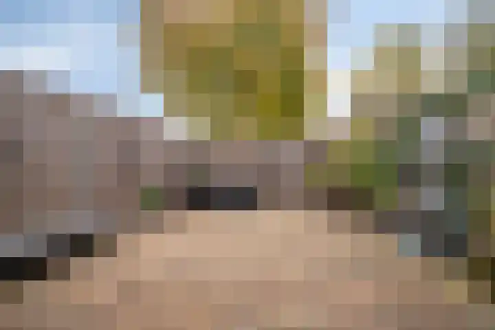 Griend 24 24 20 Lelystad thumbnail 4
