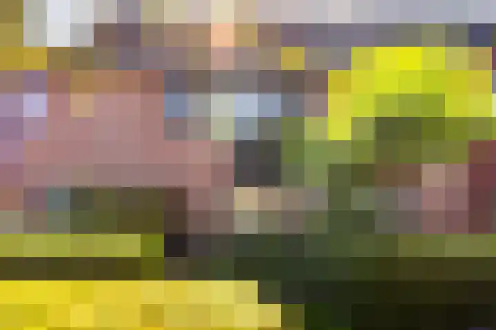 Griend 37 Elst thumbnail 32