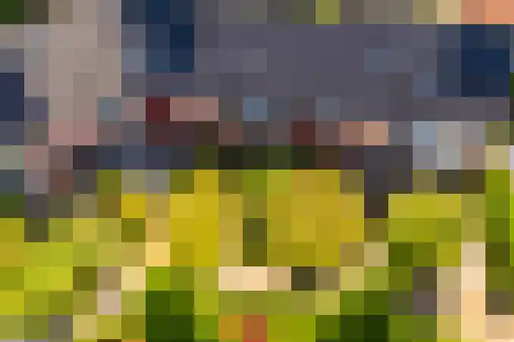 Griend 37 Elst thumbnail 34