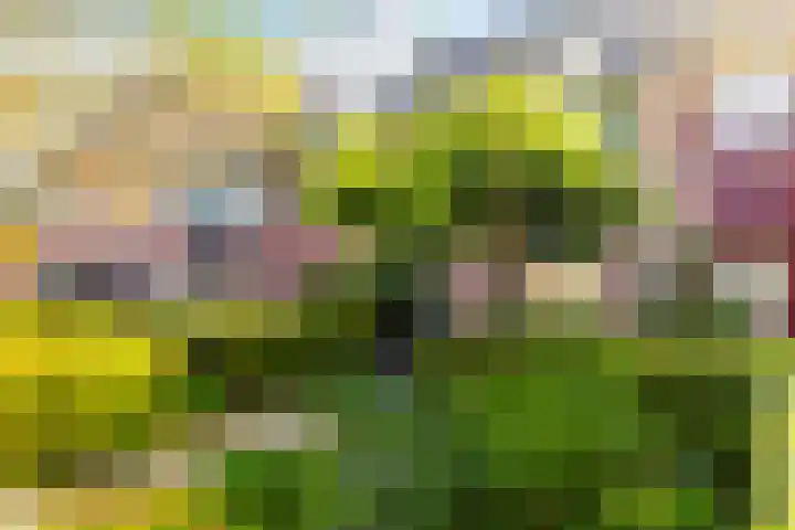 Griend 37 Elst thumbnail 44