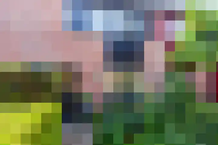 Griend 37 Elst thumbnail 5