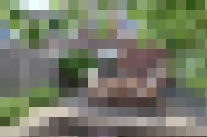 Griend 39 Leerdam thumbnail 4