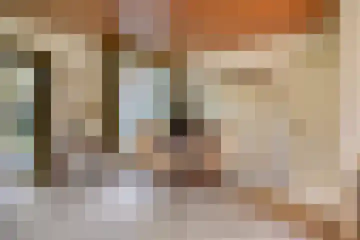 Griendstraat 62 Geldrop thumbnail 13