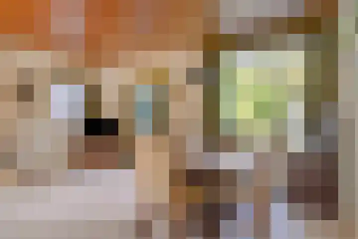 Griendstraat 62 Geldrop thumbnail 14