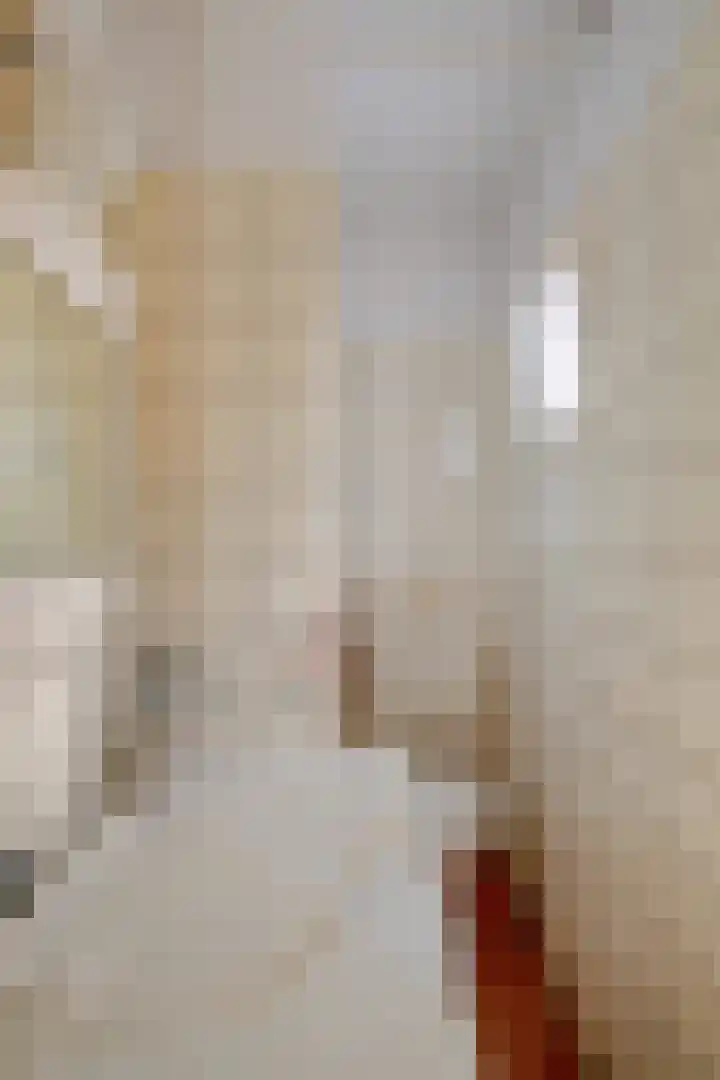 Griendstraat 62 Geldrop thumbnail 17
