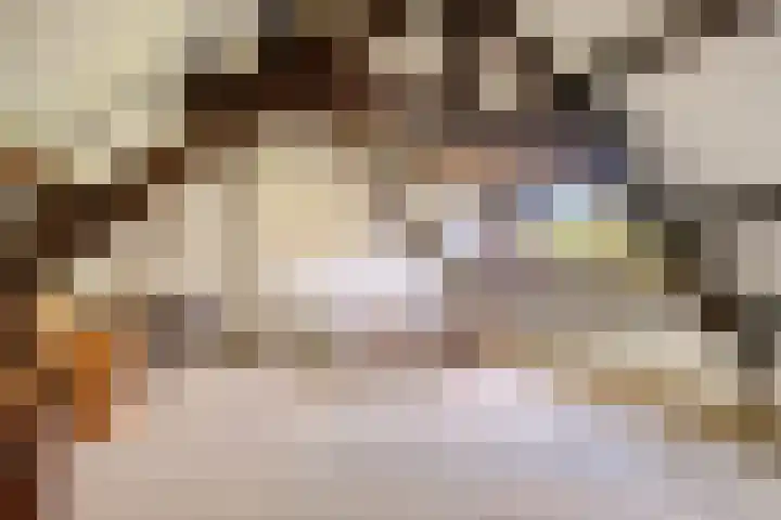 Griendstraat 62 Geldrop thumbnail 24