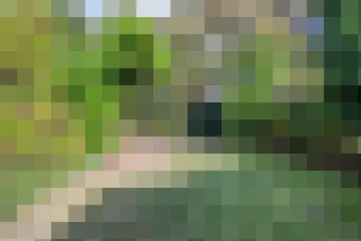 Griendstraat 62 Geldrop thumbnail 28