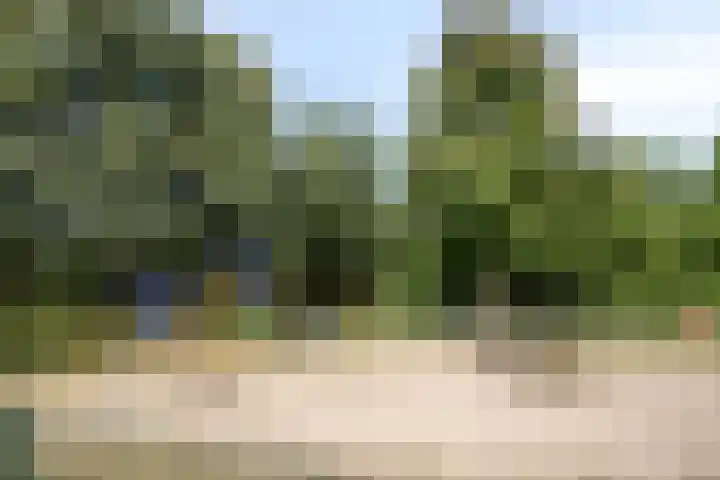 Griendstraat 62 Geldrop thumbnail 29