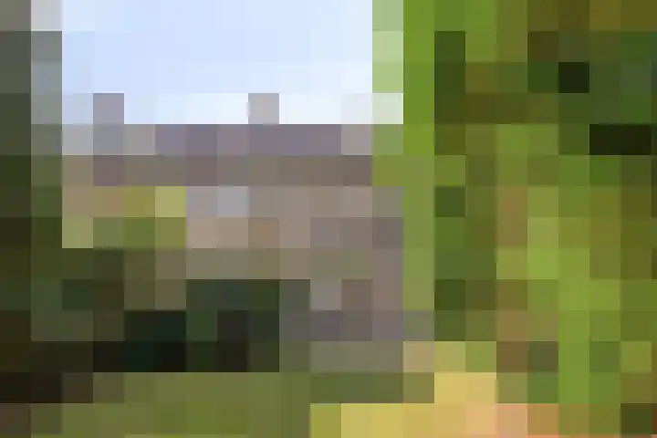 Griendstraat 62 Geldrop thumbnail 6