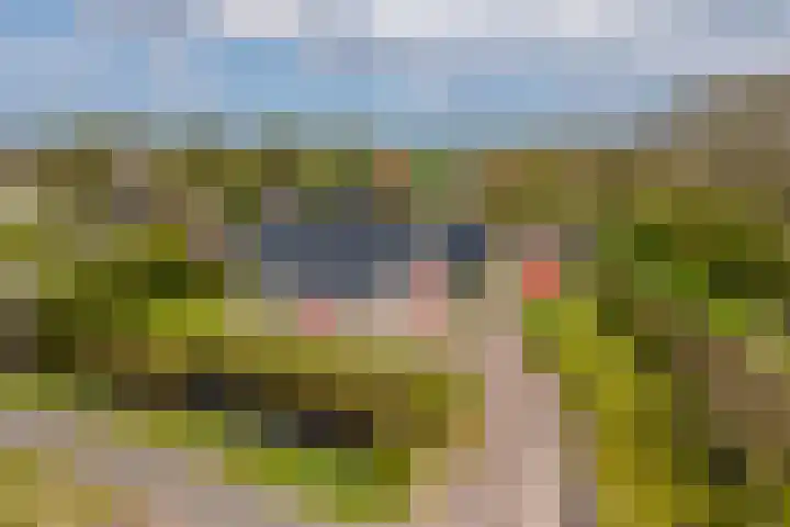 Grienereed 2 B in Reitsum