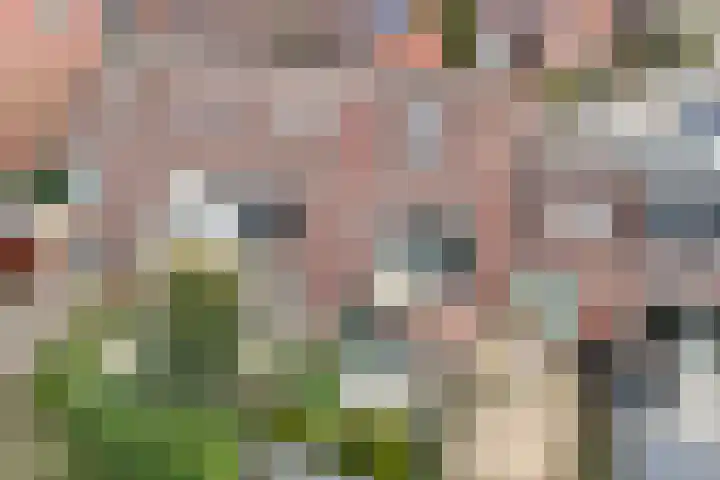Griet Manshande erf 55 en Capelle aan den IJssel