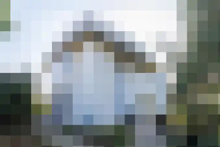 Griete 15 in Zaamslag